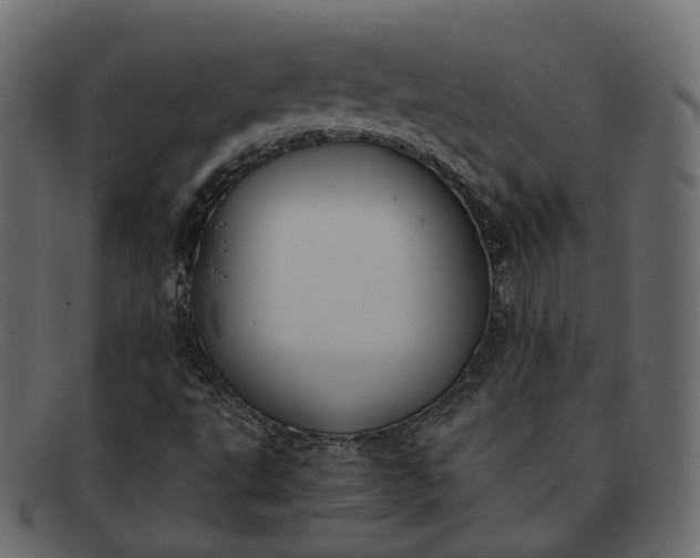 X0000091881495200709191145