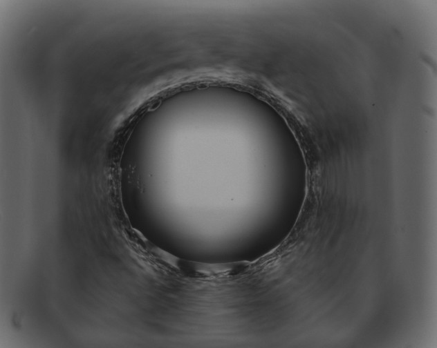 X0000091881496200709191145