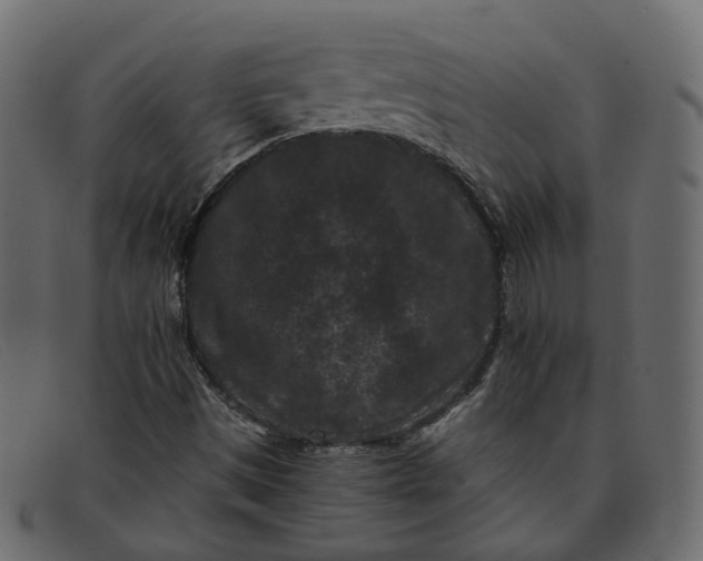 X0000091881497200709191145