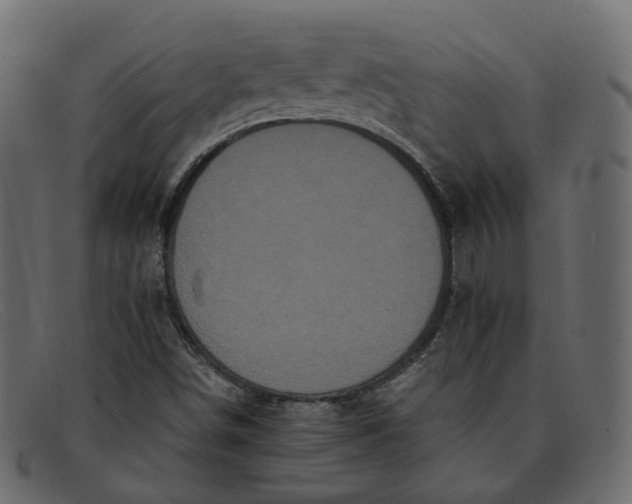 X0000091881498200709191145