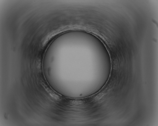 X0000091881499200709191145