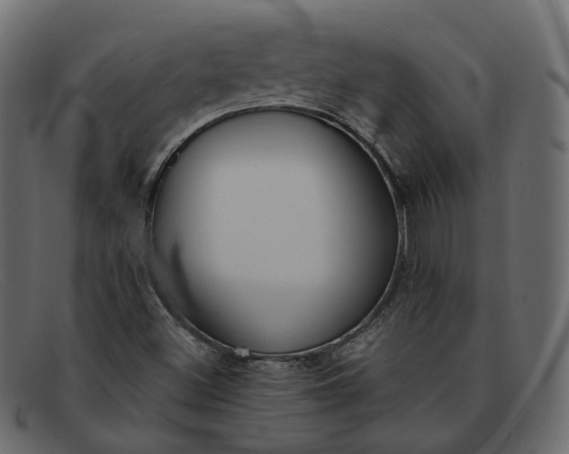 X0000091881500200709191145