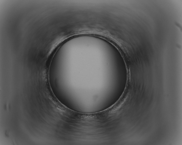 X0000091881501200709191145