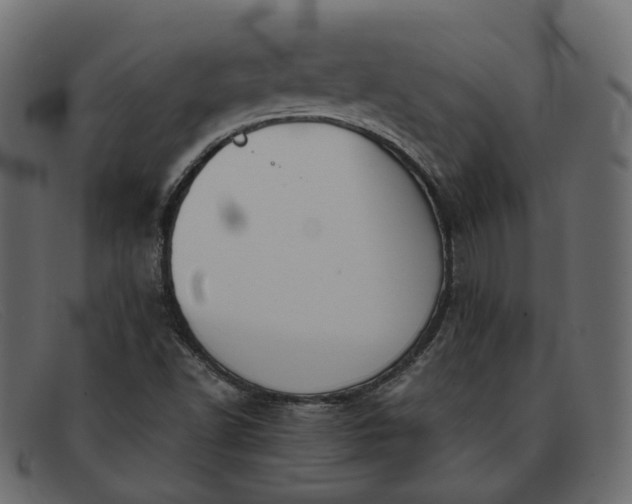 X0000091881502200709191145