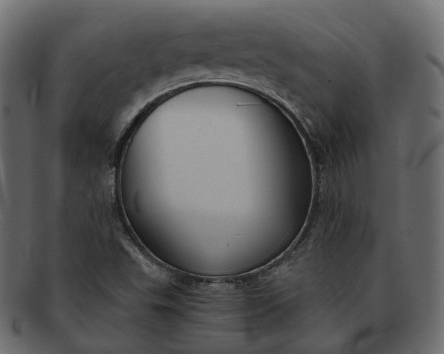 X0000091881503200709191145