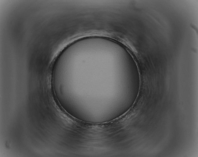 X0000091881504200709191145