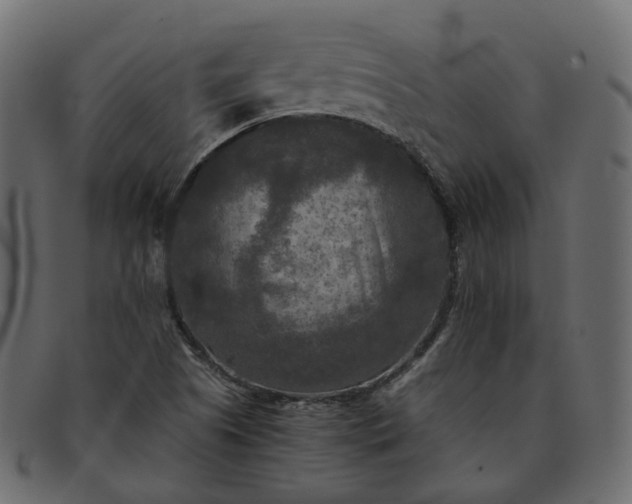 X0000091881505200709191145