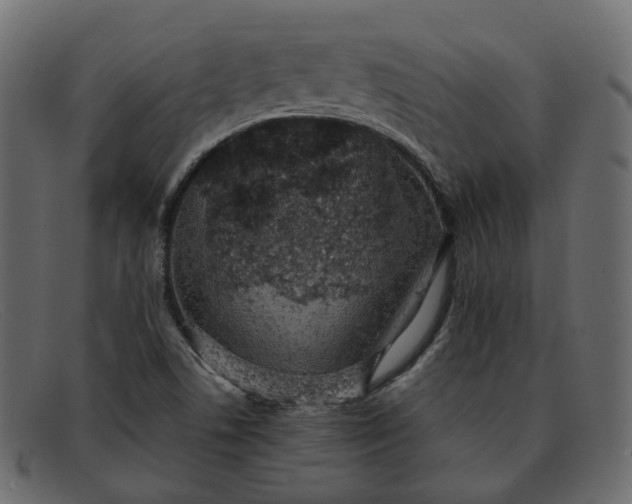 X0000091881506200709191145