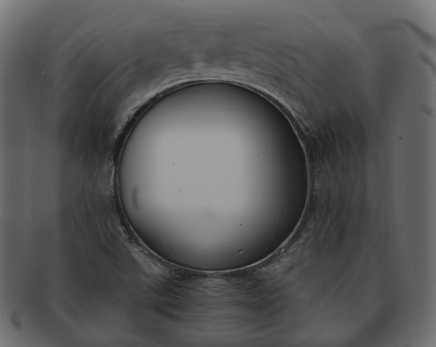 X0000091881507200709191146