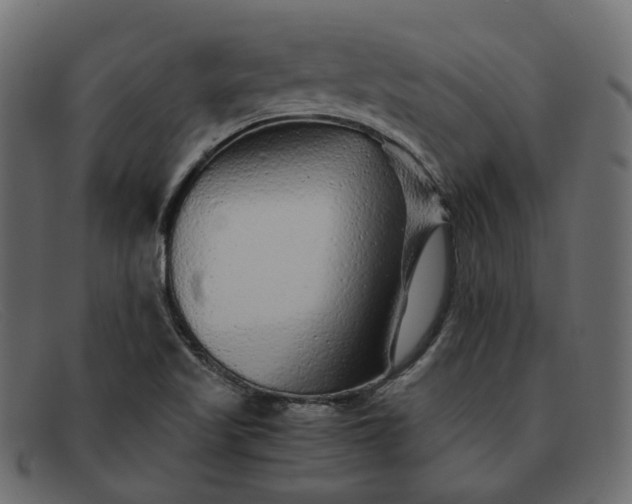 X0000091881509200709191146