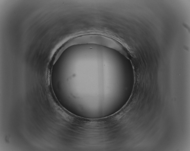 X0000091881510200709191146