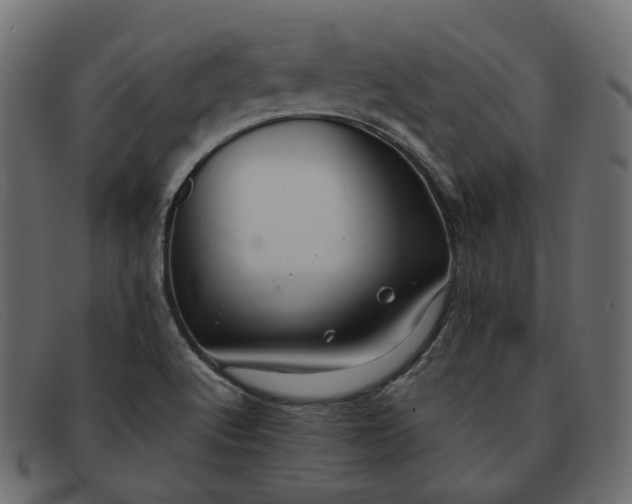 X0000091881512200709191146