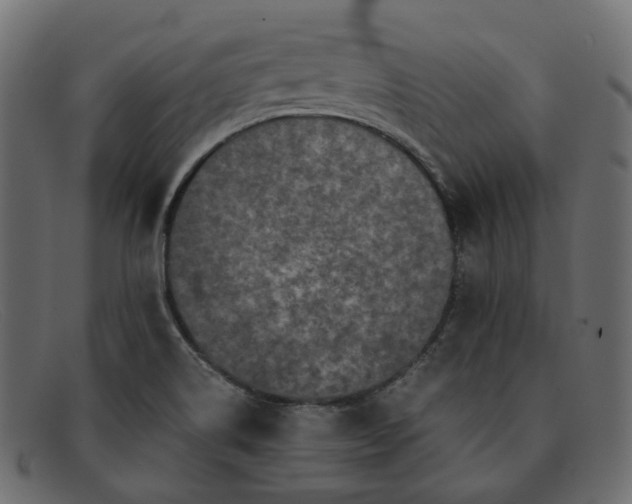 X0000091881514200709191146