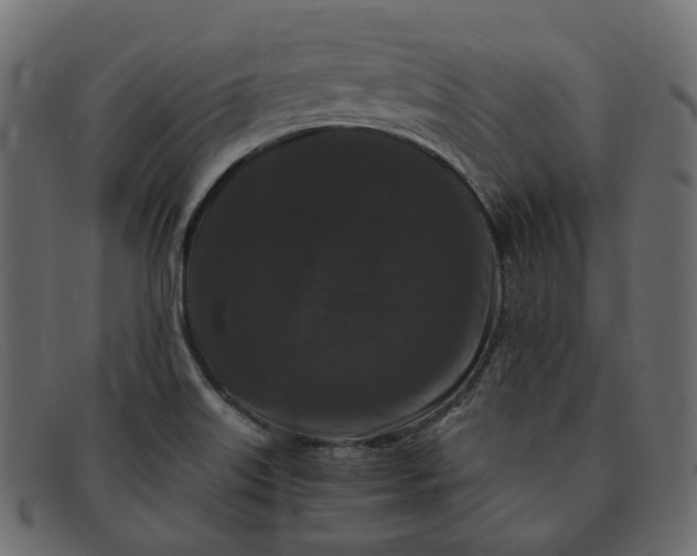 X0000091881515200709191146