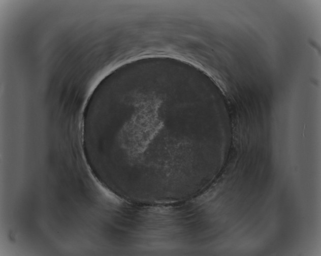 X0000091881519200709191146