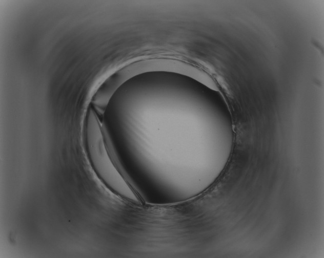 X0000091881520200709191146