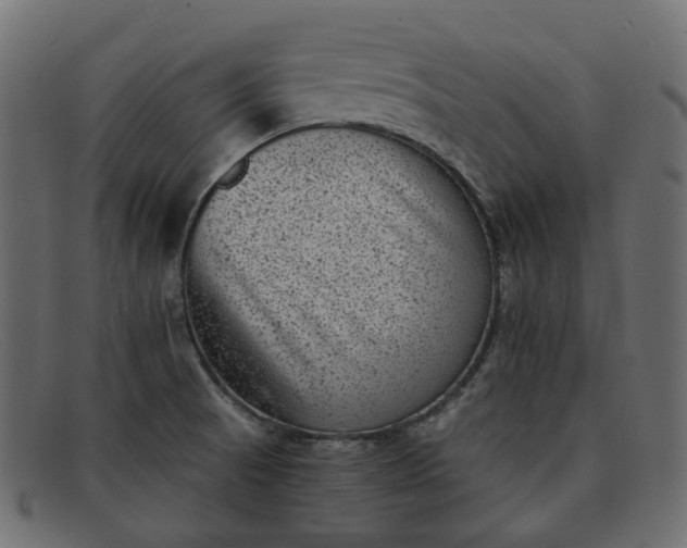 X0000091881521200709191146
