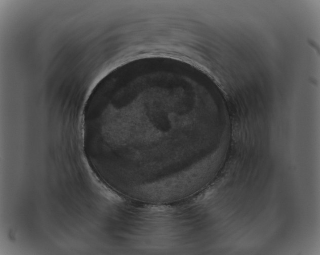 X0000091881522200709191146