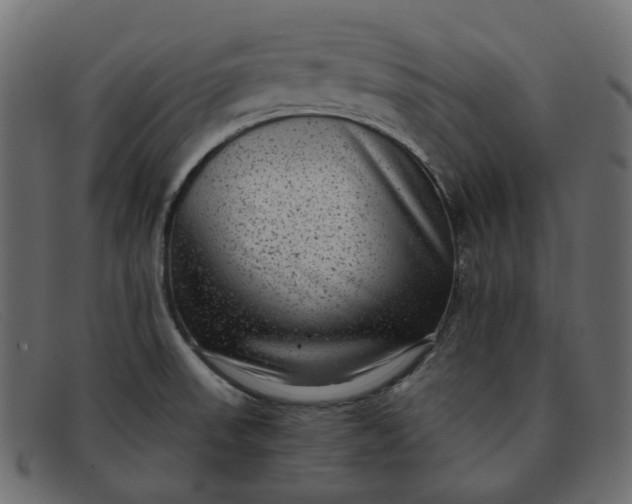 X0000091881523200709191146