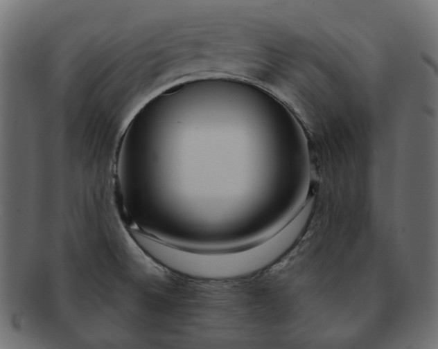 X0000091881524200709191146