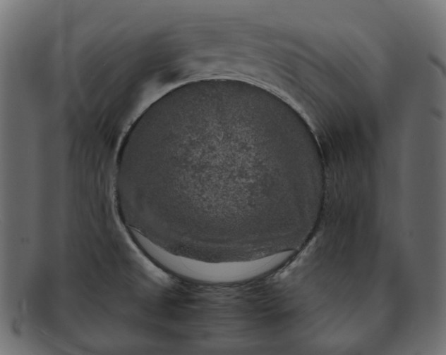 X0000091881525200709191146