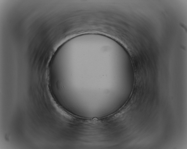 X0000091881526200709191146