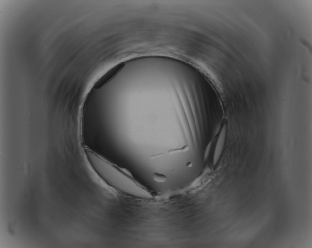 X0000091881528200709191146