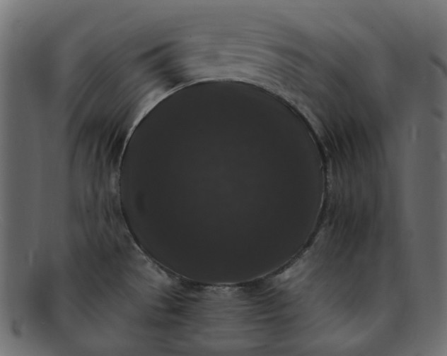 X0000091881529200709191146