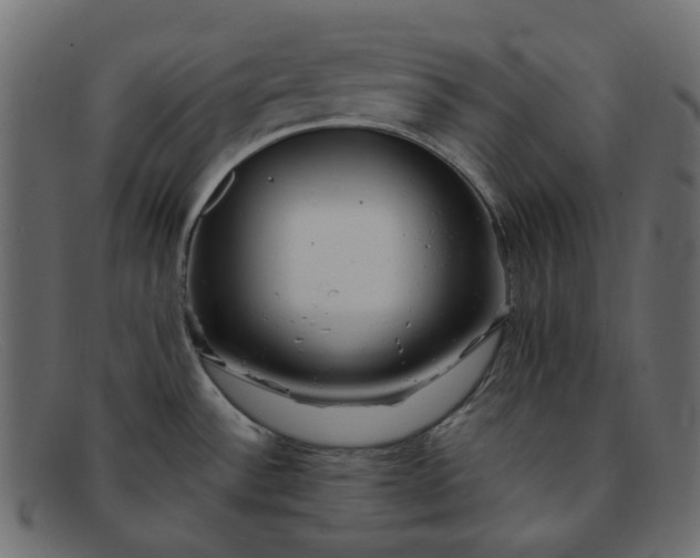 X0000091881532200709191146