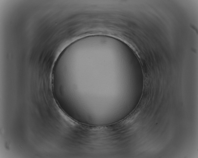 X0000091881535200709191146