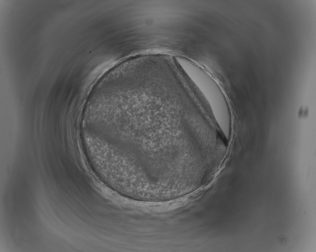 X0000091880001200709261401