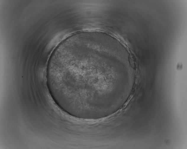 X0000091880002200709261401