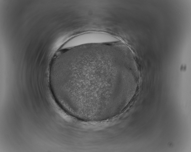 X0000091880005200709261401