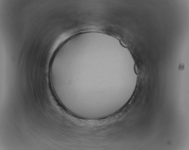 X0000091880006200709261401