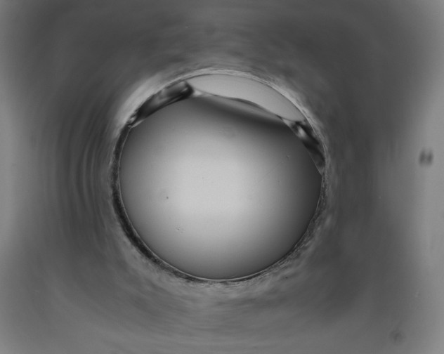 X0000091880007200709261401