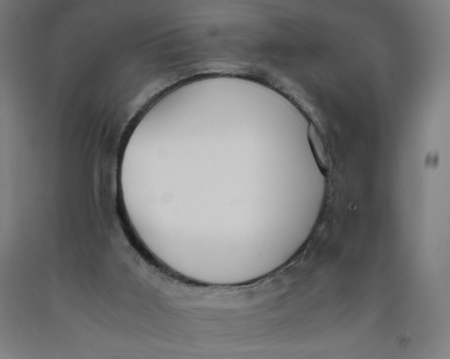 X0000091880011200709261401