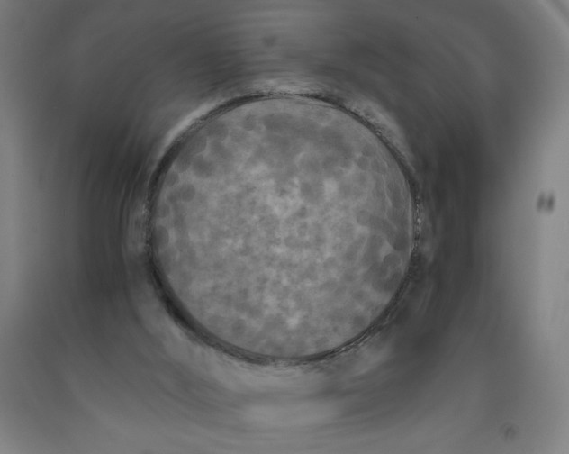 X0000091880012200709261401