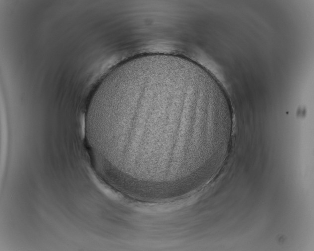 X0000091880013200709261401