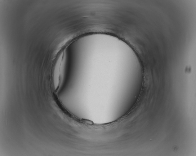 X0000091880015200709261401