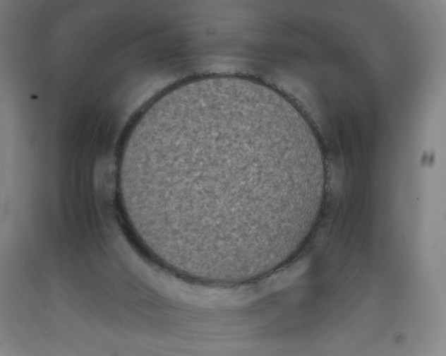 X0000091880016200709261401