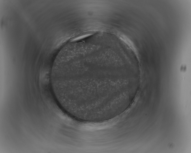 X0000091880017200709261401