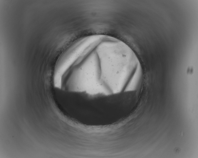 X0000091880018200709261401