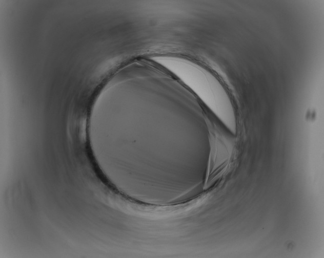 X0000091880019200709261401