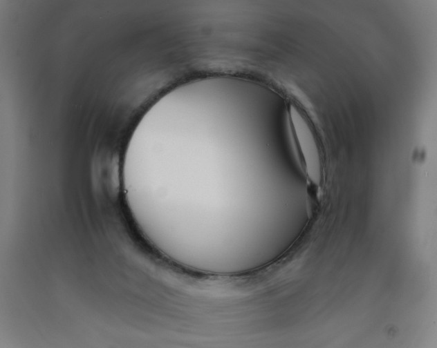 X0000091880020200709261401