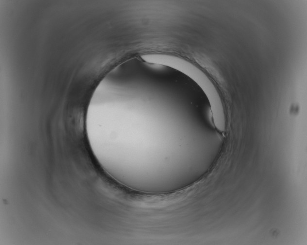 X0000091880021200709261401