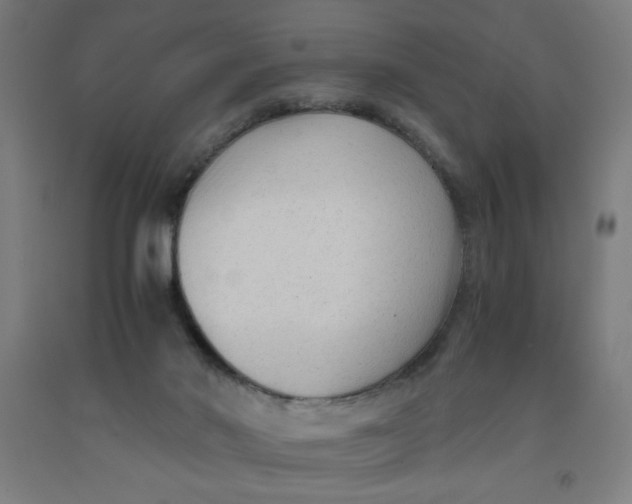 X0000091880022200709261401