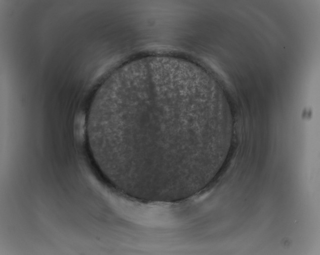 X0000091880024200709261401