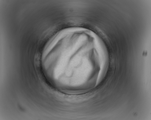 X0000091880026200709261401