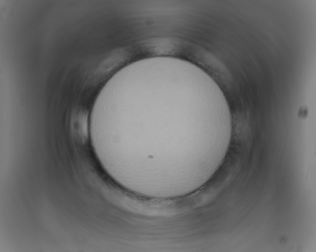 X0000091880028200709261401