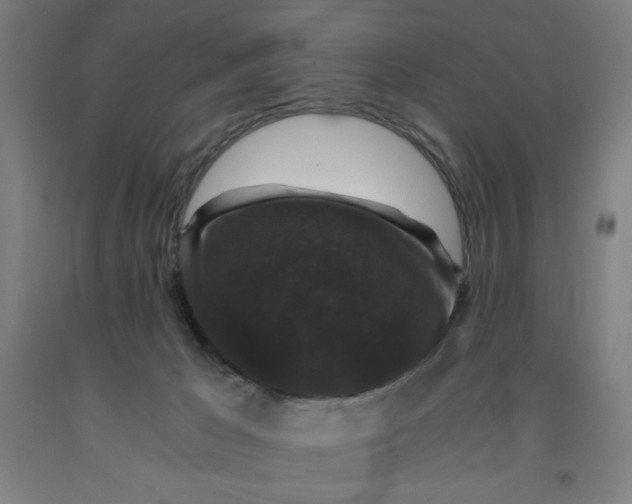 X0000091880029200709261401